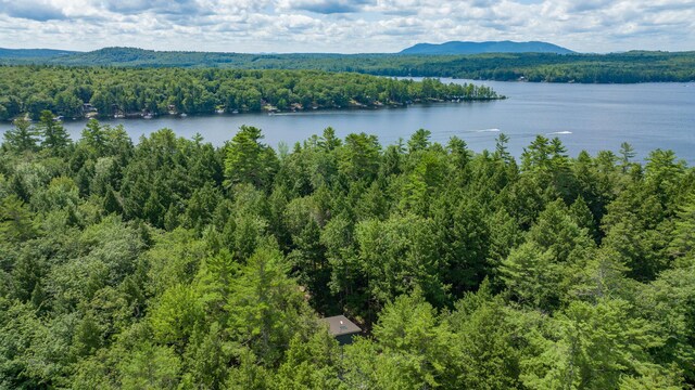 5 Zakelo Island Rd, Harrison, ME 04040 - aerial view of a forest and a water and mountain view