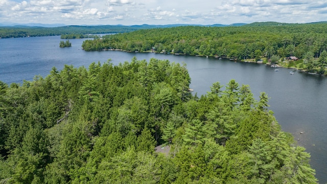 5 Zakelo Island Rd, Harrison, ME 04040 - bird's eye view of a heavily wooded area and a water and mountain view