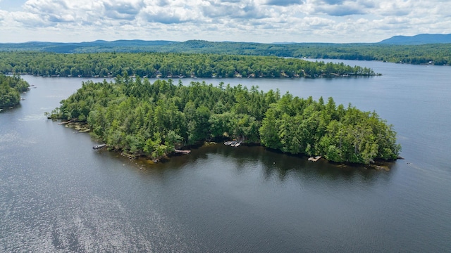 5 Zakelo Island Rd, Harrison, ME 04040 - aerial view of a heavily wooded area and a water and mountain view