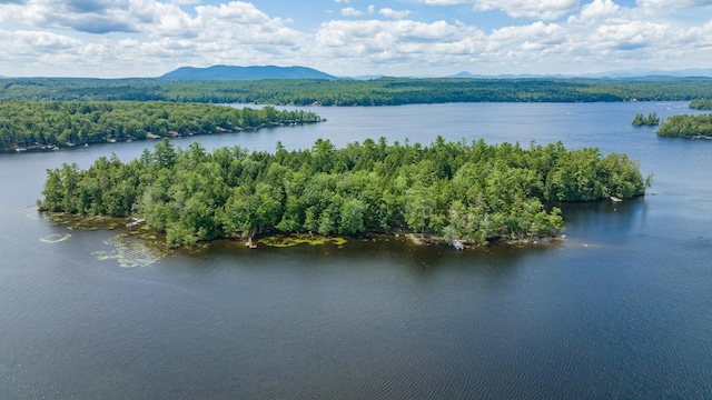5 Zakelo Island Rd, Harrison, ME 04040 - bird's eye view of a water and mountain view and a forest