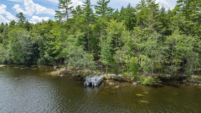 5 Zakelo Island Rd, Harrison, ME 04040 - water view with a heavily wooded area
