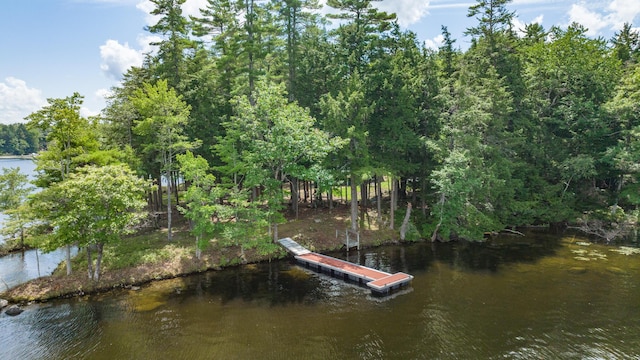 5 Zakelo Island Rd, Harrison, ME 04040 - dock featuring a water view