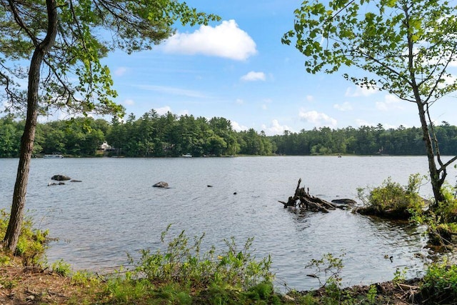 5 Zakelo Island Rd, Harrison, ME 04040 - water view featuring a heavily wooded area