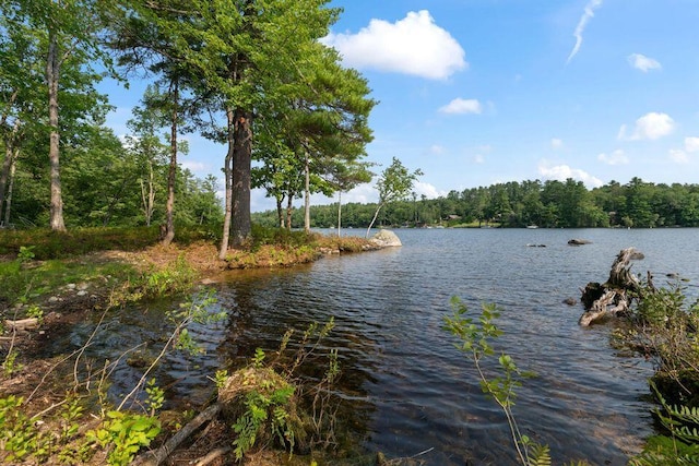 5 Zakelo Island Rd, Harrison, ME 04040 - water view with a forest