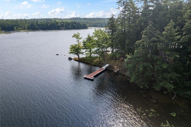 5 Zakelo Island Rd, Harrison, ME 04040 - water view featuring a forest
