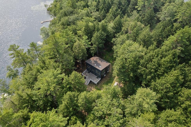 5 Zakelo Island Rd, Harrison, ME 04040 - aerial view of property and surrounding area featuring a large body of water and a heavily wooded area