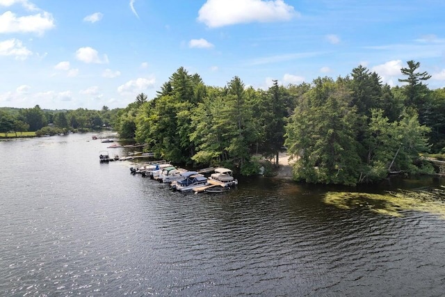 5 Zakelo Island Rd, Harrison, ME 04040 - water view featuring a boat dock