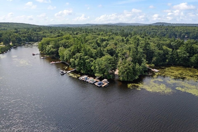 5 Zakelo Island Rd, Harrison, ME 04040 - drone / aerial view of a heavily wooded area and a large body of water