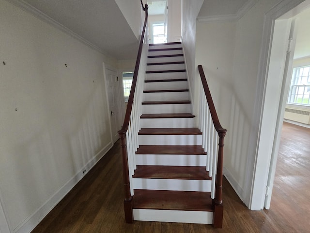 22 Summer St, Lubec, ME 04652 - stairs featuring wood finished floors, ornamental molding, plenty of natural light, radiator heating unit, and baseboards