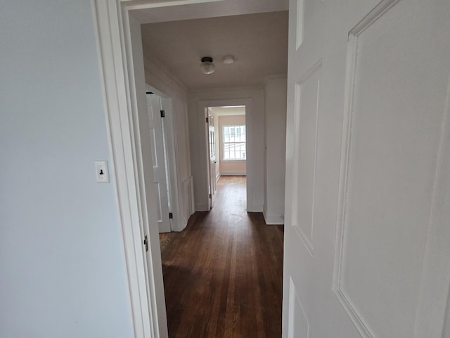 22 Summer St, Lubec, ME 04652 - hallway with dark wood finished floors, baseboards, and crown molding