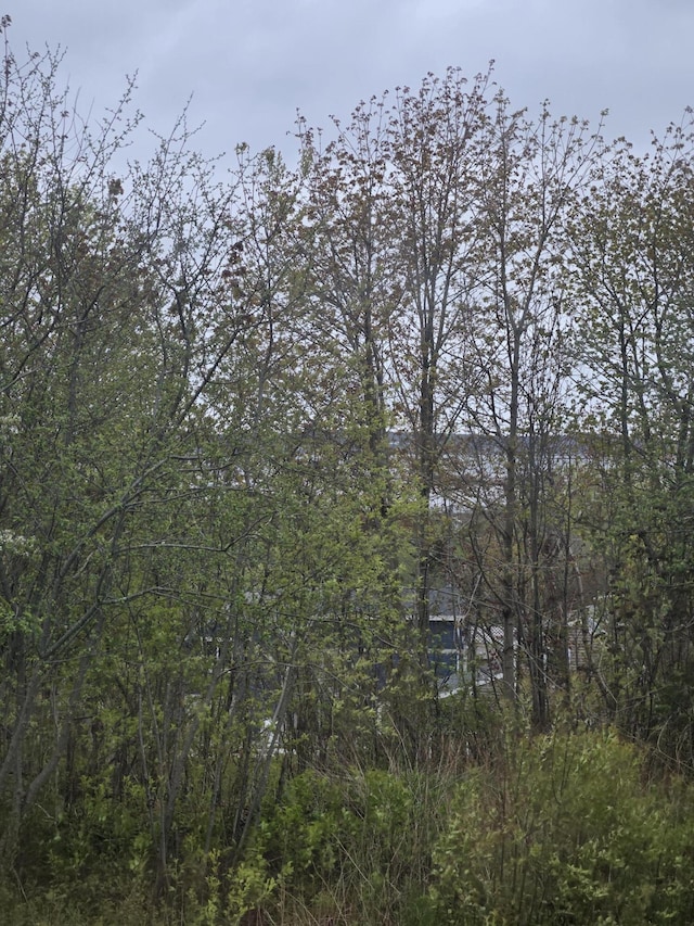 22 Summer St, Lubec, ME 04652 - view of woods