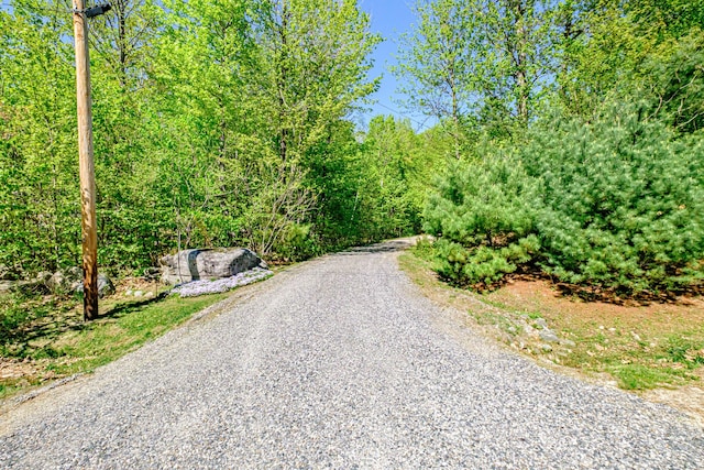 9 Eisenhower Ct, Naples, ME 04055 - view of road featuring a view of trees