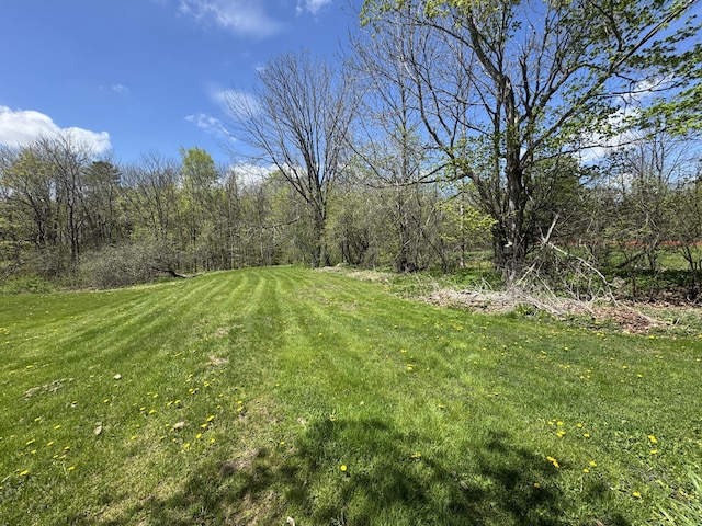 4 Main St, Saint Albans, ME 04971 - view of green lawn