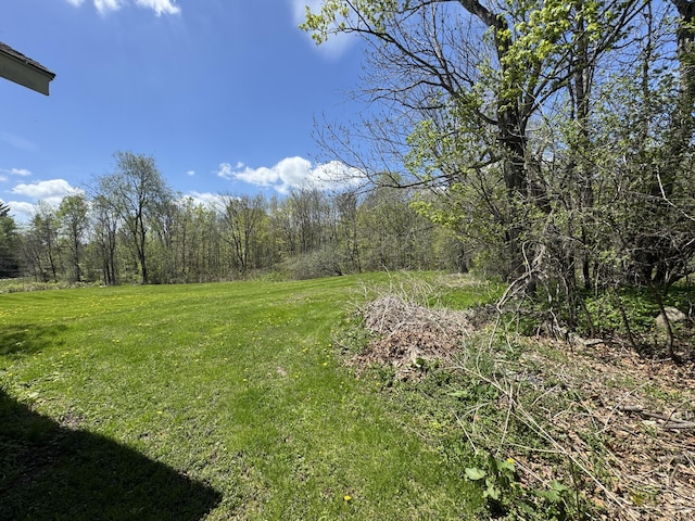 4 Main St, Saint Albans, ME 04971 - view of grassy yard with a wooded view