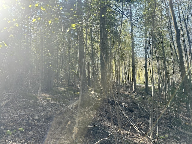 0 Sagamore Farm Rd, Camden, ME 04843