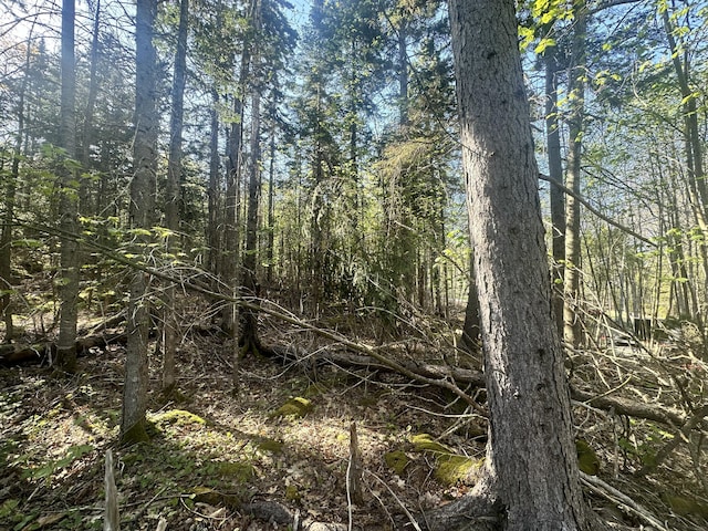 0 Sagamore Farm Rd, Camden, ME 04843