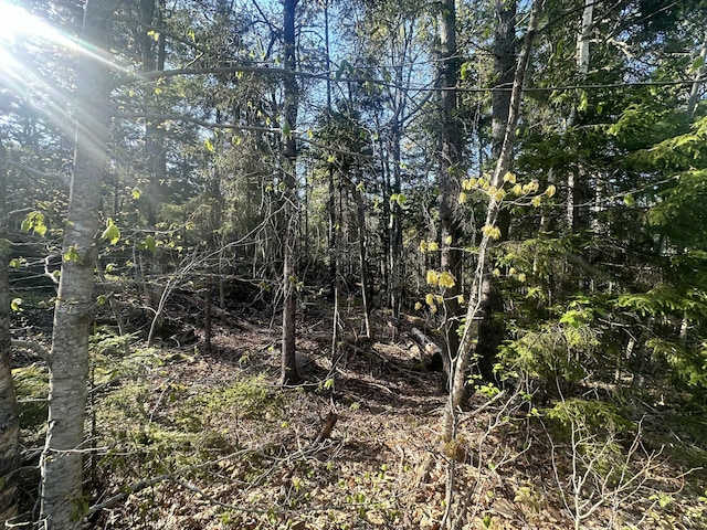 0 Sagamore Farm Rd, Camden, ME 04843