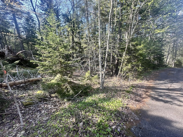 0 Sagamore Farm Rd, Camden, ME 04843