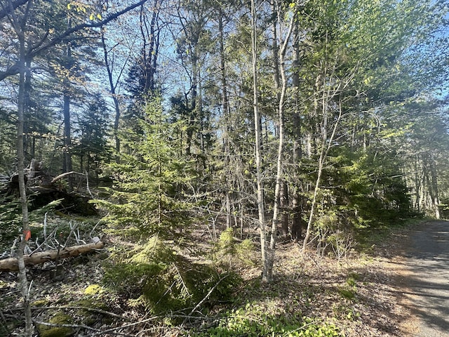0 Sagamore Farm Rd, Camden, ME 04843
