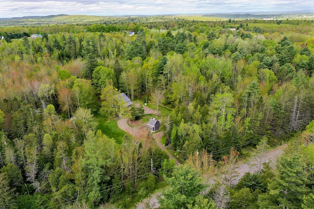603 S Freedom Rd, Albion, ME 04910 - bird's eye view of a forest