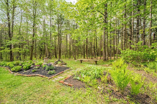 603 S Freedom Rd, Albion, ME 04910 - view of yard with a wooded view
