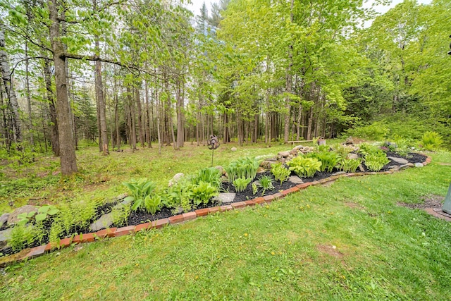 603 S Freedom Rd, Albion, ME 04910 - view of yard featuring a forest view
