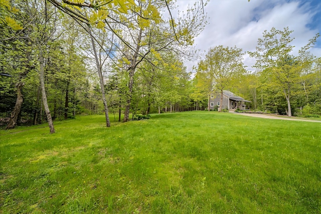 603 S Freedom Rd, Albion, ME 04910 - view of green lawn with a wooded view