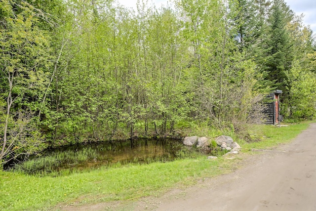 603 S Freedom Rd, Albion, ME 04910 - view of dirt / gravel road with a forest view