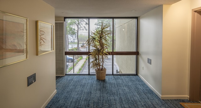 215 E Grand Ave Unit 210, Old Orchard Beach, ME 04064 - spare room featuring a wall of windows, carpet floors, and baseboards