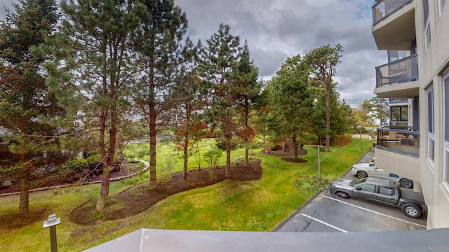 215 E Grand Ave Unit 210, Old Orchard Beach, ME 04064 - view of green lawn