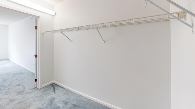 215 E Grand Ave Unit 210, Old Orchard Beach, ME 04064 - spacious closet with carpet
