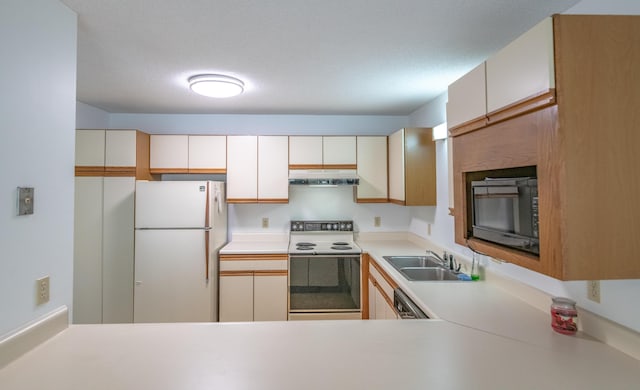 215 E Grand Ave Unit 210, Old Orchard Beach, ME 04064 - kitchen featuring white appliances, under cabinet range hood, a sink, light countertops, and a fireplace