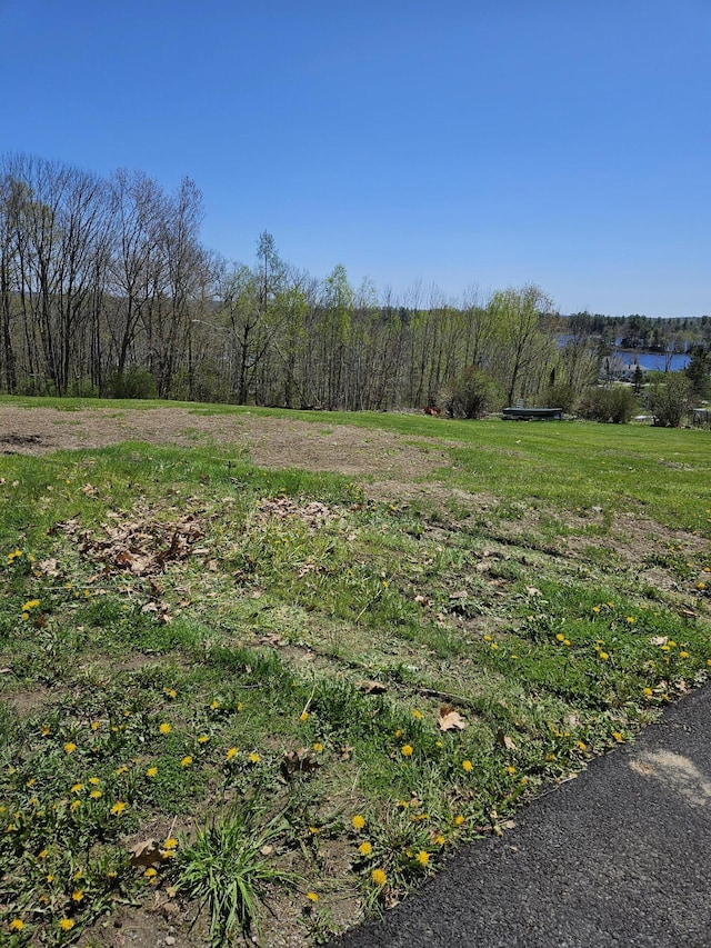 1377 Pushaw Rd, Glenburn, ME 04401 - view of yard featuring a wooded view
