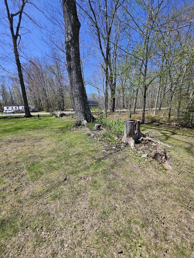 1377 Pushaw Rd, Glenburn, ME 04401 - view of yard