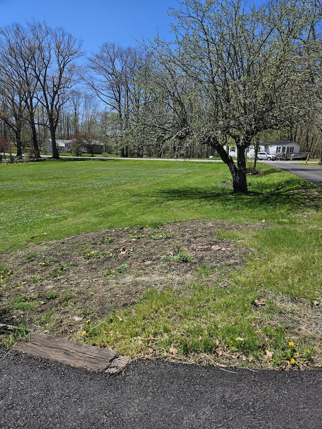 1377 Pushaw Rd, Glenburn, ME 04401 - view of green lawn