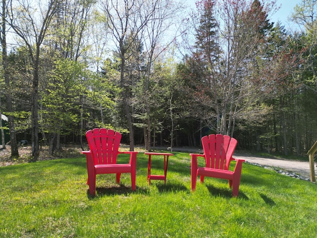 11 Beethoven Ln, Enfield, ME 04493 - view of green lawn