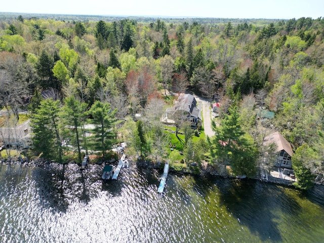 11 Beethoven Ln, Enfield, ME 04493 - view of property location with a heavily wooded area and a nearby body of water