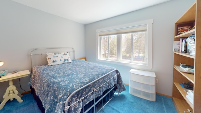 11 Beethoven Ln, Enfield, ME 04493 - view of carpeted bedroom