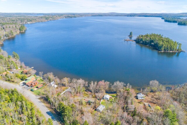 aerial view of a large body of water and a heavily wooded area