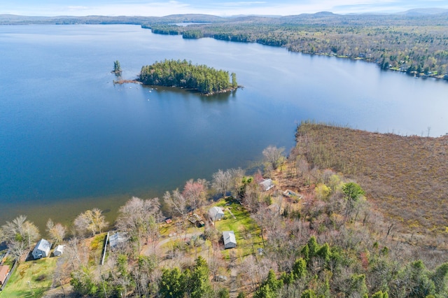 aerial view of property and surrounding area with a large body of water and a forest