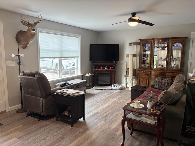 38 Deer Ridge Ln, Windsor, ME 04363 - living room featuring light wood finished floors, a ceiling fan, and a glass covered fireplace