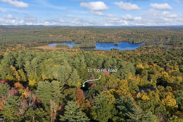 11 Top Hill Rd, Bridgton, ME 04009 - photo 46