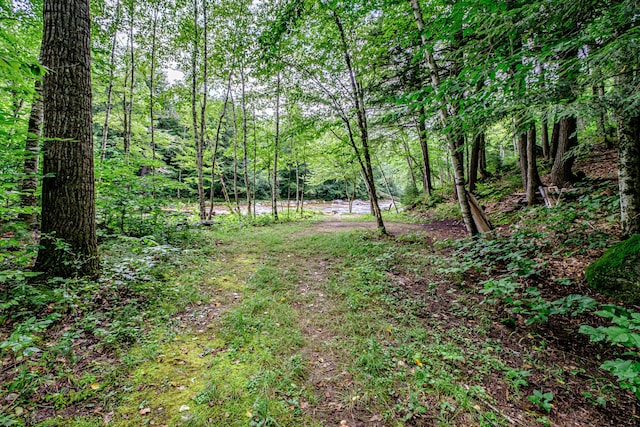 LOT4 Sunday River Rd, Newry, ME 04261 - photo 2