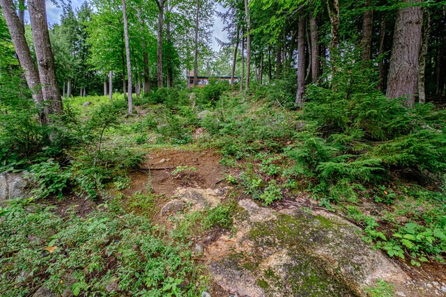 LOT4 Sunday River Rd, Newry, ME 04261 - photo 5