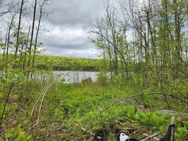 510 Dexter Rd, Garland, ME 04939