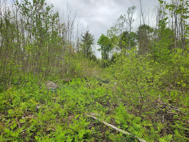 510 Dexter Rd, Garland, ME 04939