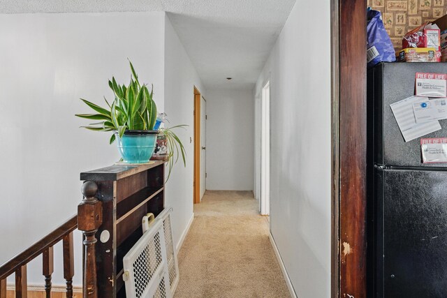 5 Skyline Dr, Chelsea, ME 04330 - hall featuring carpet