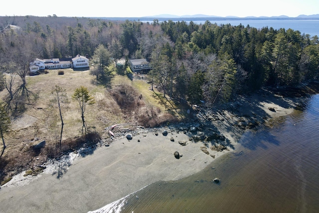 884 Surry Rd, Surry, ME 04684 - aerial view of property's location with a forest and a mountainous background