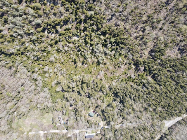 MAP4 Reach Rd, Brooklin, ME 04616 - photo 2
