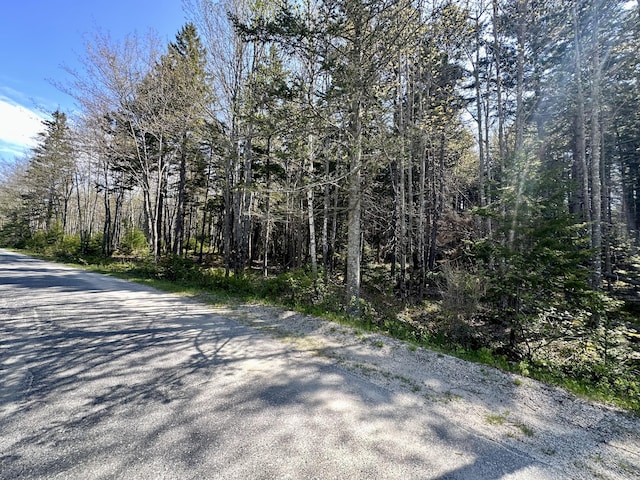 MAP4 Reach Rd, Brooklin, ME 04616 - photo 4
